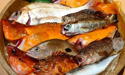 アカハタ 鯛 カサゴ 他多数の釣った魚持ち込みコースのご紹介 釣り食べ