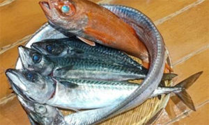 高級魚のどぐろ 太刀魚 鯖の釣った魚持ち込みコースのご紹介です 釣り食べ